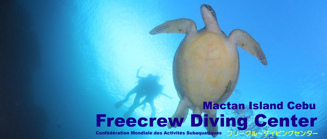 Freecrew Diving Center